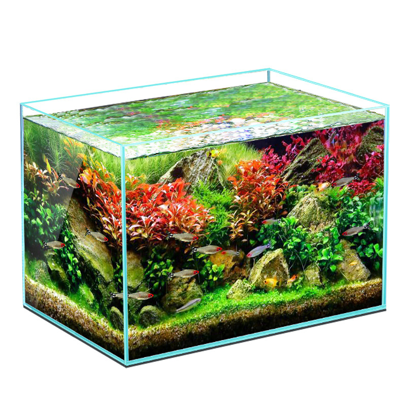 Fish Tank Ecological Desktop Aquatic Plants Landscape Home Ornamental Fish Turtle Jar Douyu Small Living Room Super White Glass Cylinder