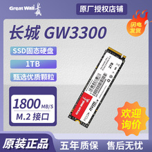 适用长城 GW3300系列 1TB  固态硬盘SSD  M.2接口  GW33001T