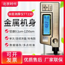 北京时代TT220铁基铝基涂层测厚仪TT230铁镀锌层厚度测试仪漆膜仪