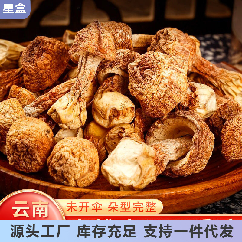 姬松茸干货 云南特产食用野生菌菇蘑菇松茸500g无硫熏-阿里巴巴
