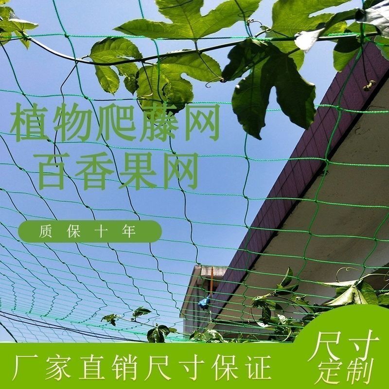 植物爬藤网 丝瓜苦瓜吊瓜爬藤网 爬藤瓜蒌豆角攀爬网搭架网百香果