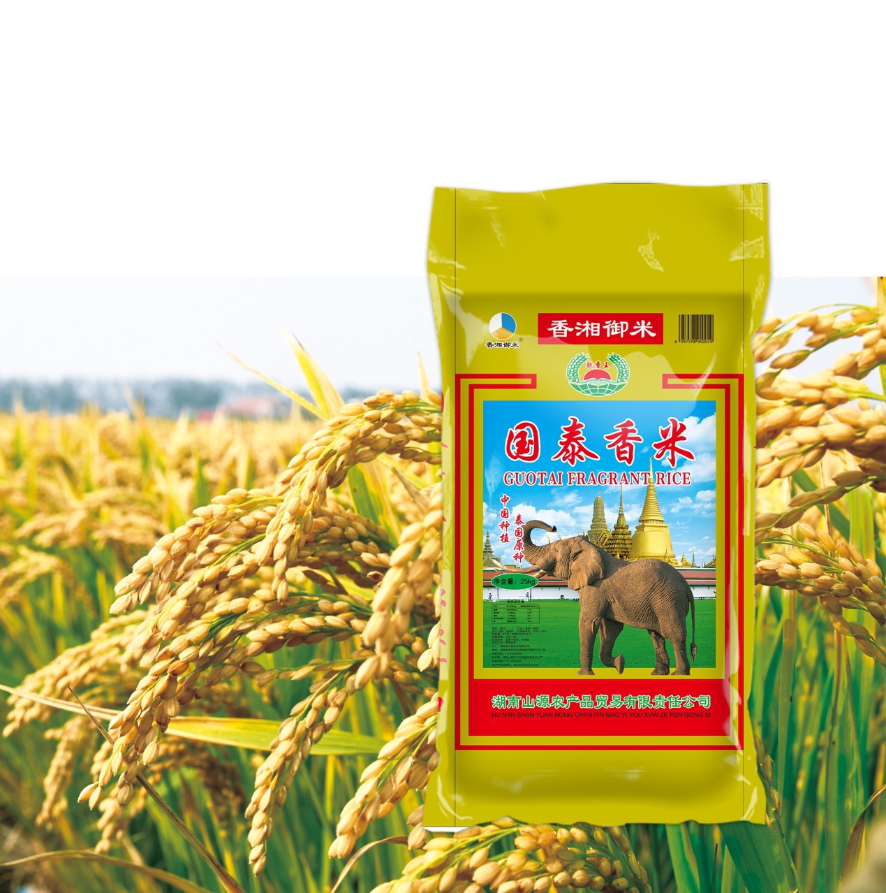 香湘御米 国泰香米25kg 厂家直销 量大从优