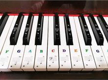 塘厦工厂直销彩色电子琴键盘贴纸粗体大字母标签适合钢琴初学者