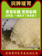 大米5kg南梗米46油正宗糯软香米煮粥米新米江苏晚稻胚芽米粘粳米