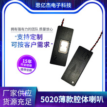 5020薄腔体喇叭便携屏侧出音喇叭防水喇叭运动相机礼盒小喇叭厂家