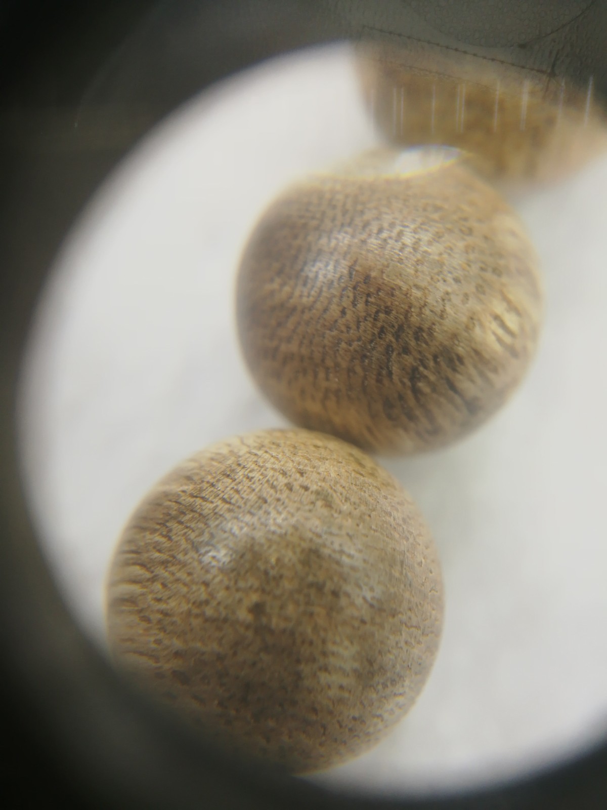 沉香之乡 海南水格沉香天然保真老料佛珠手链念珠12mm lx9owy49dg