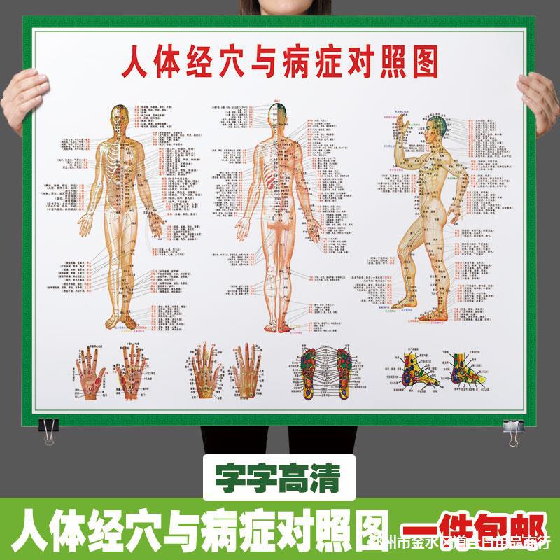 中医养生人体经络穴位图大挂图全身高清穴位推拿按摩针灸海报