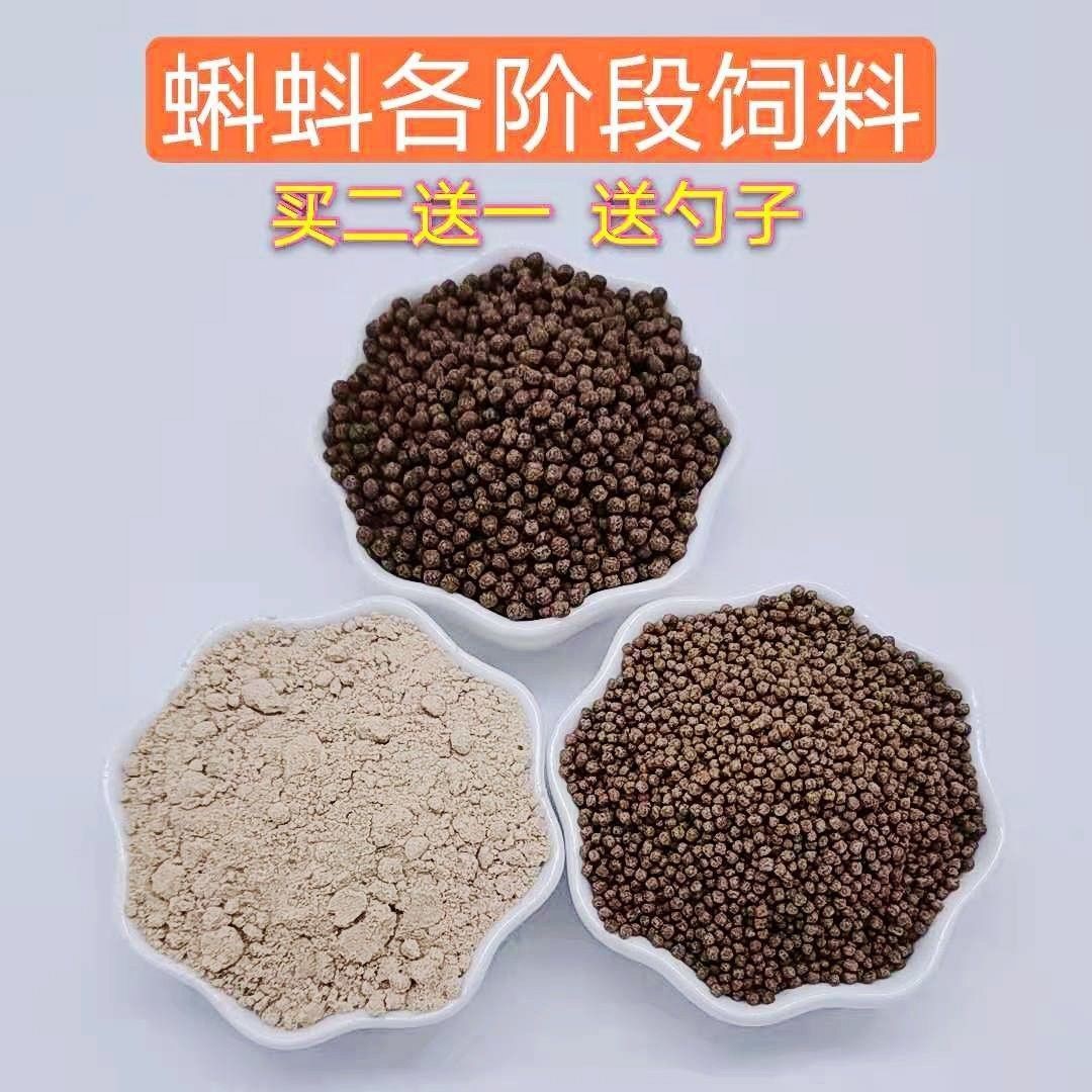 蛙粮小蝌蚪幼蛙饲料食物饲料 蛙类颗粒饲料 牛蛙青蛙蝌蚪饲料