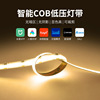 Light belt COB a living room household low pressure LED Light belt autohesion intelligence Double color Light Bar Flexible Light belt