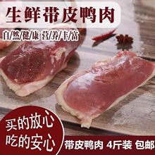 鸭胸肉六和冷冻带皮3斤4斤装冻鸭脯另有去皮包邮一件代发办公室