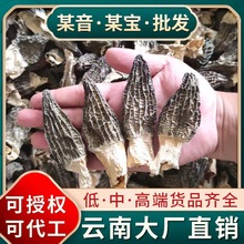 羊肚菌干货云南特产煲汤食材源头工厂50克头茬5-7散装批发代发