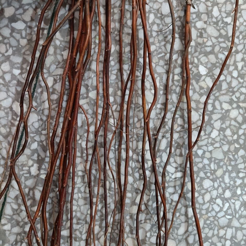 龙柳干枝干支干花花枝主杆天然生态自然碳烤色褐色插花瓶落地橱窗