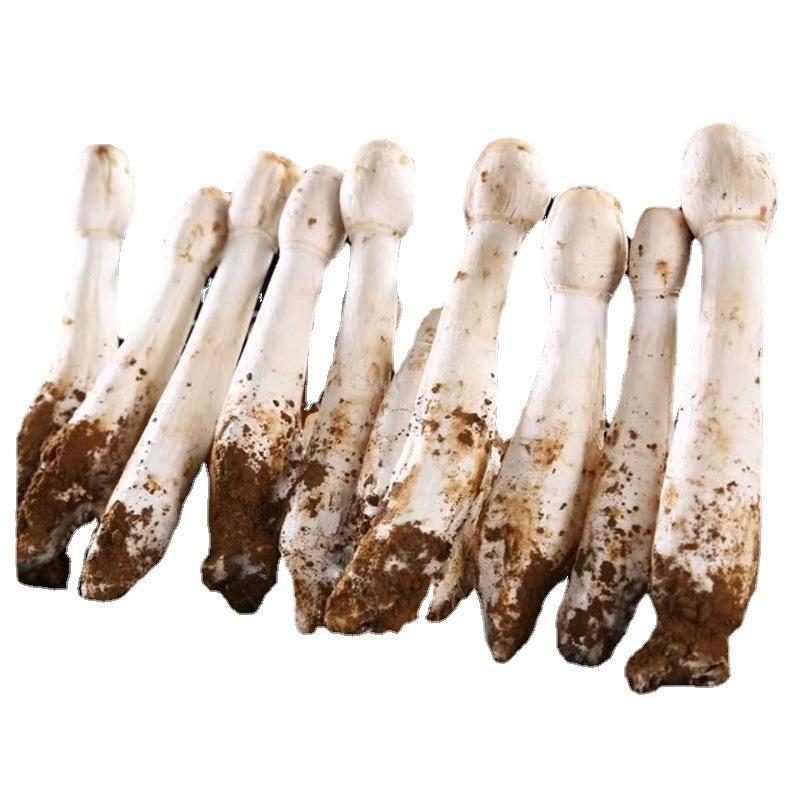 40斤包邮生鲜袋泥鸡腿菇食用菌毛头鬼伞小松茸新鲜蘑菇菌菇-阿里巴巴