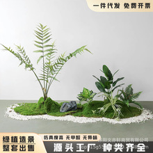 仿真花苔藓绿植造景室内软装微景观组合橱窗装饰青苔场景布置摆件