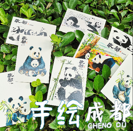 成都手绘摄影明信片熊猫都江堰宽窄巷子锦里武侯祠青青子衿文创