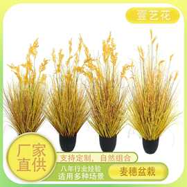 仿真稻谷芦苇草盆栽摆件田野农家乐麦穗干花田野小麦造景装饰道具