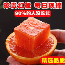 现货秭归中华红血橙批发新鲜水果红肉红心橙子当季手剥甜应季水果