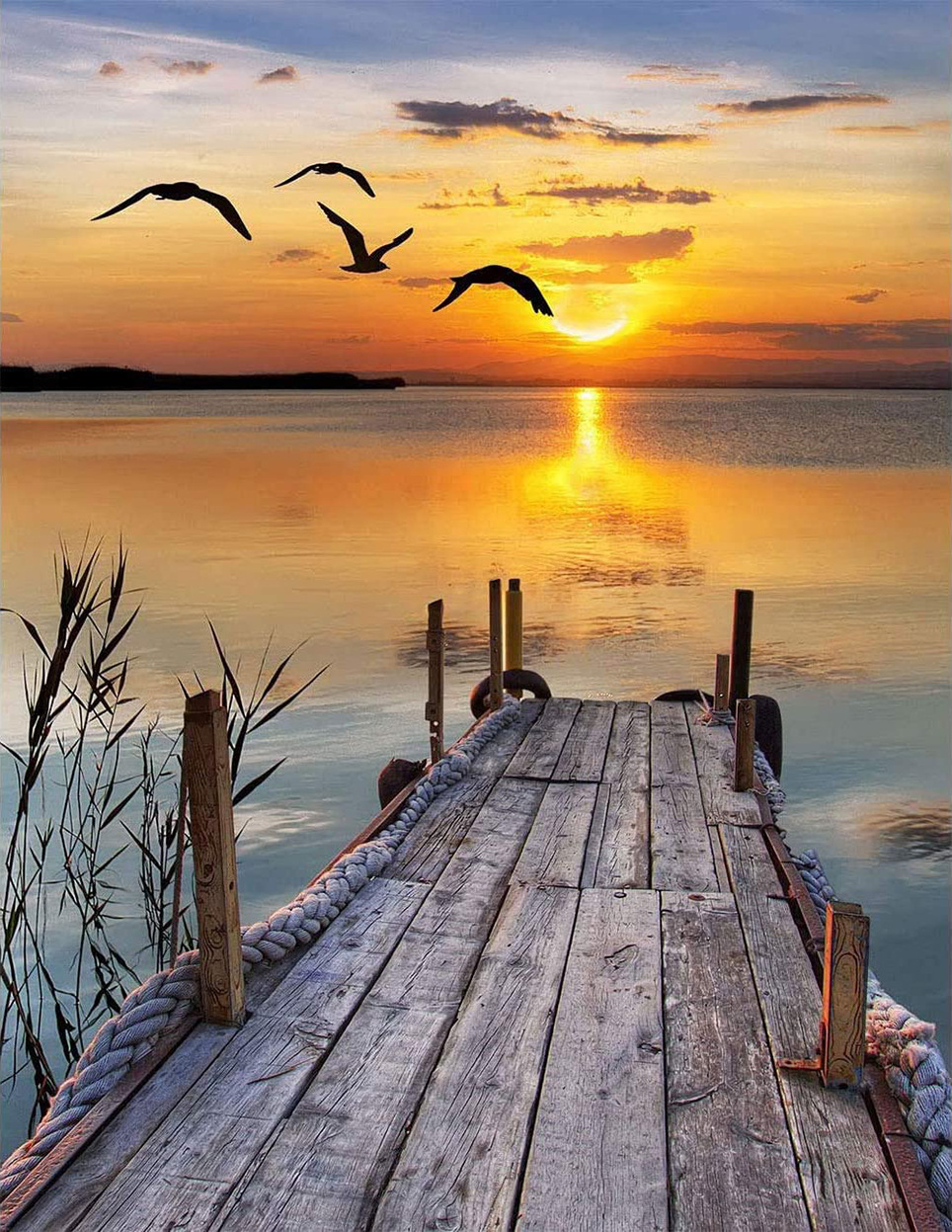 风景码头夕阳大雁画