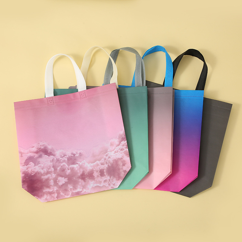 Factory Printing Portable Non-Woven Shopping Bag Simple Fashion All-Match Pattern Buggy Bag Bag Cross-Border Wholesale