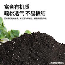 花土盆栽花卉种花专用的营养土养花专用家用植物土壤种植泥土