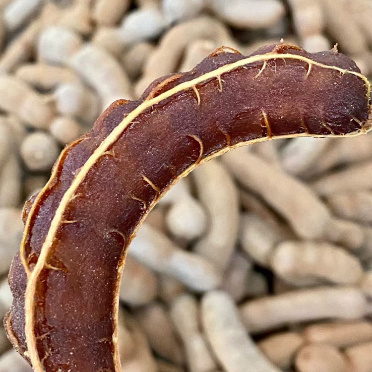 云之萌萌果泰国新鲜汁多酸甜可口零食甜角酸角 甜角酸角