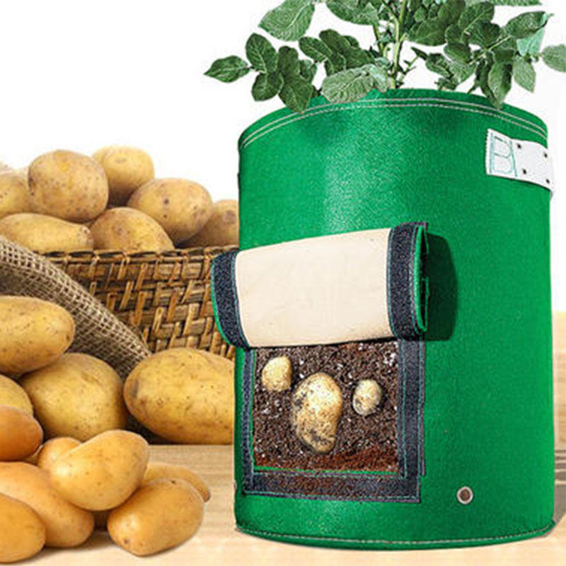 【种植桶】定制毛毡种植桶 蔬菜土豆无纺布毛毡育苗种植桶厂