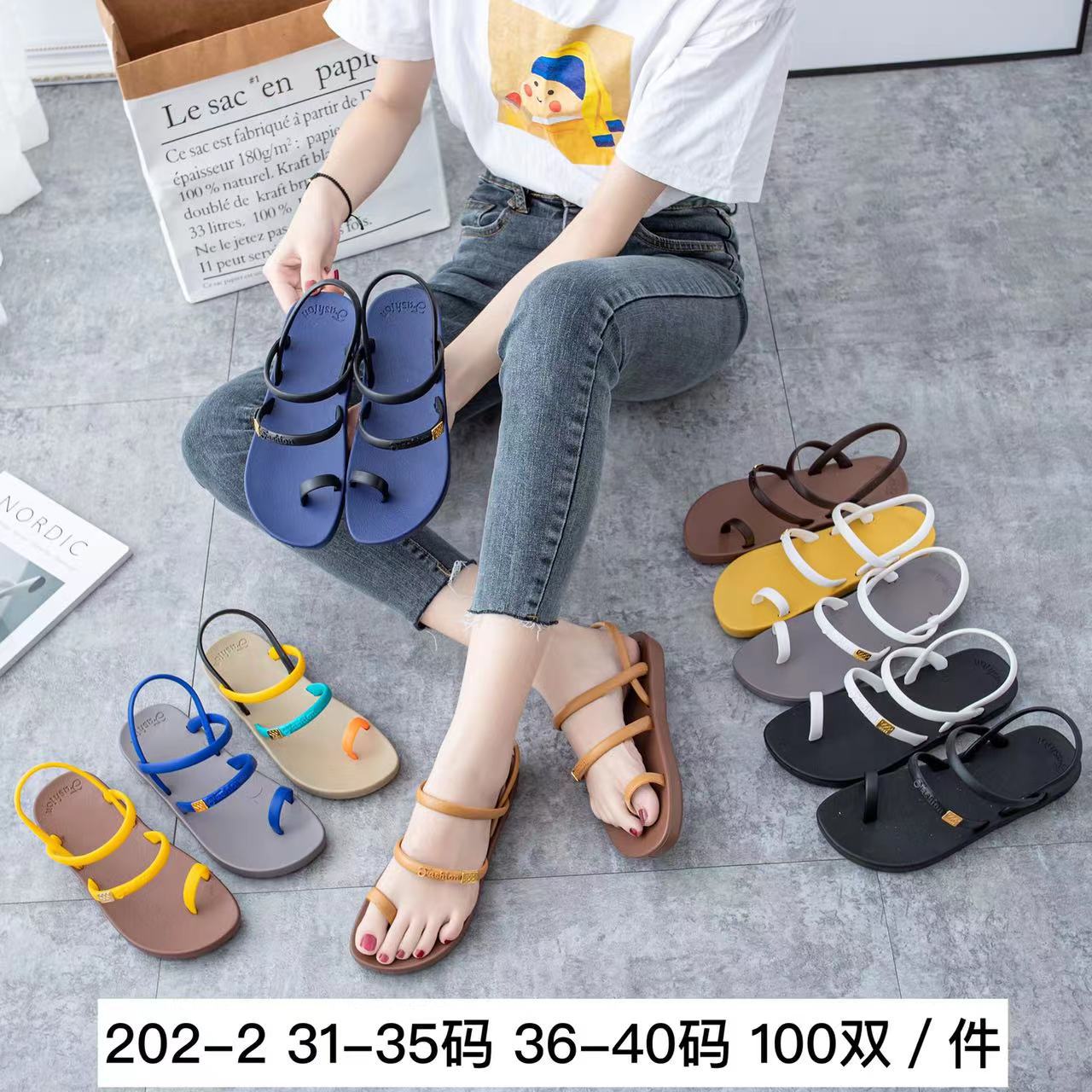 Foreign Trade Shoes Flip-Flops Summer New Leisure Home Daily Plastic Ladies' Sandals Wholesale