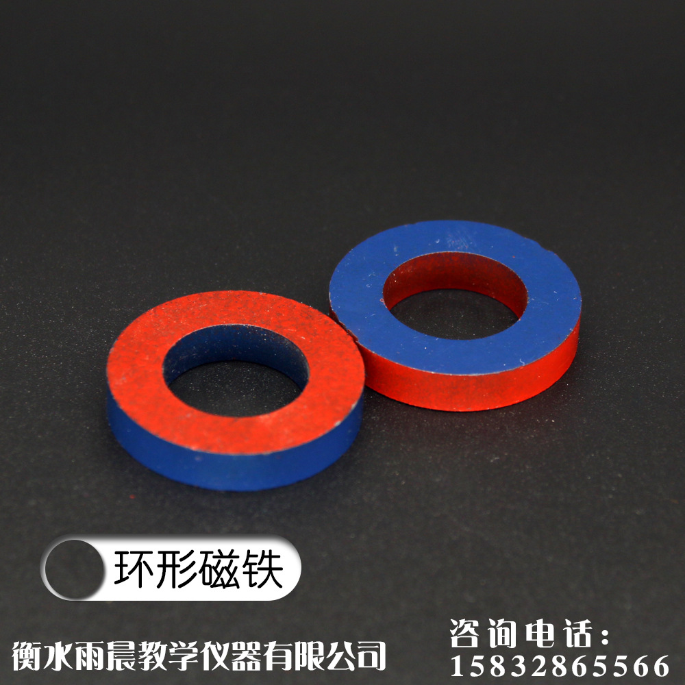 29030环形磁铁物理教具教学仪器实验耗材量大从优使用方便