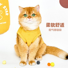 猫咪衣服冬季薄款防掉毛小猫咪背心宠物服装秋装幼猫2个月金渐层