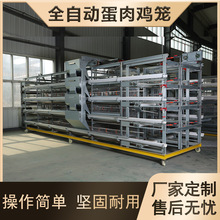 自动化肉鸡笼 框架式养鸡设备蛋鸡笼整套肉鸡笼养殖设备