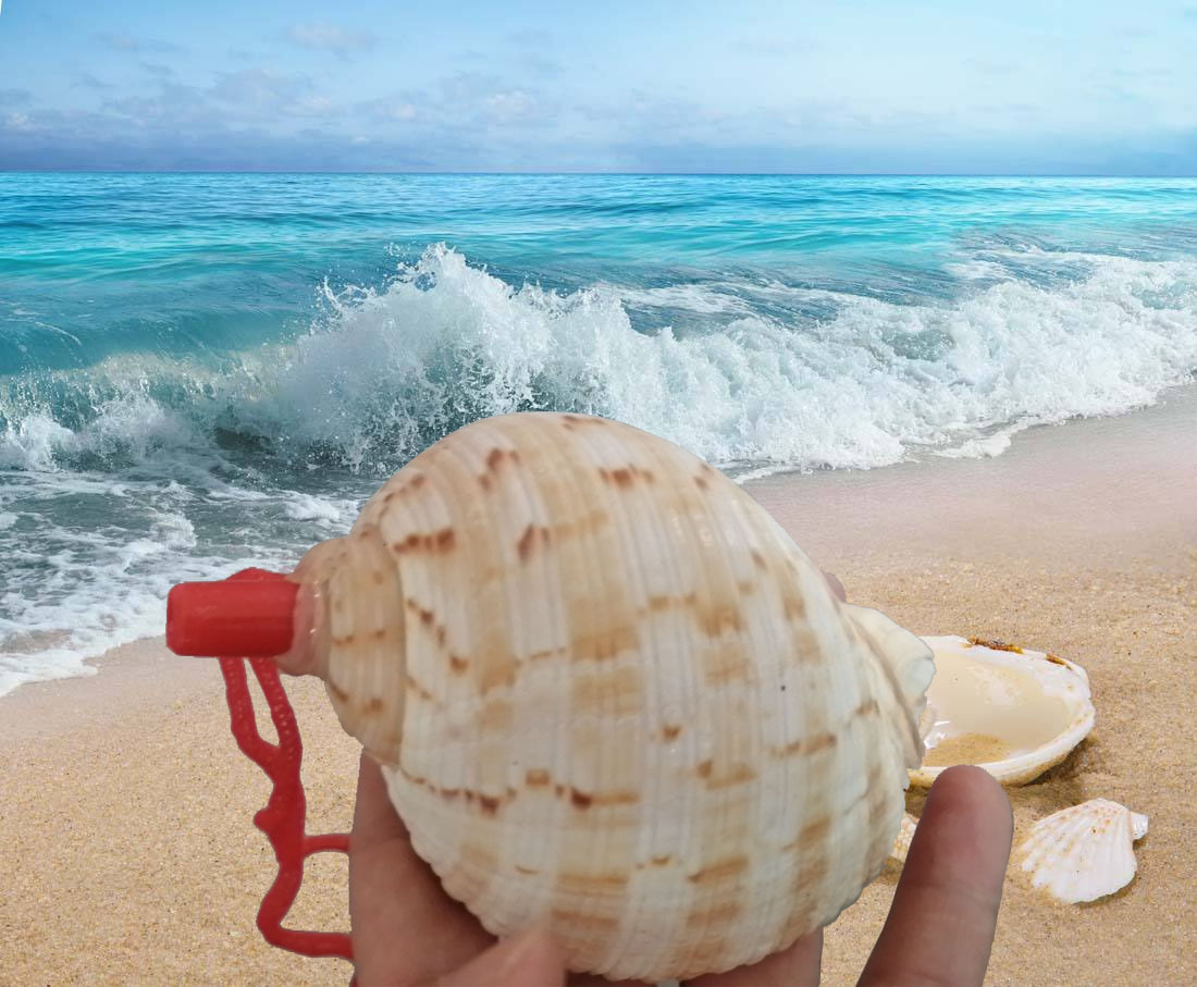 海螺贝壳饰品超大号角可吹喇叭口哨子小螺号六一创意儿童玩具包邮