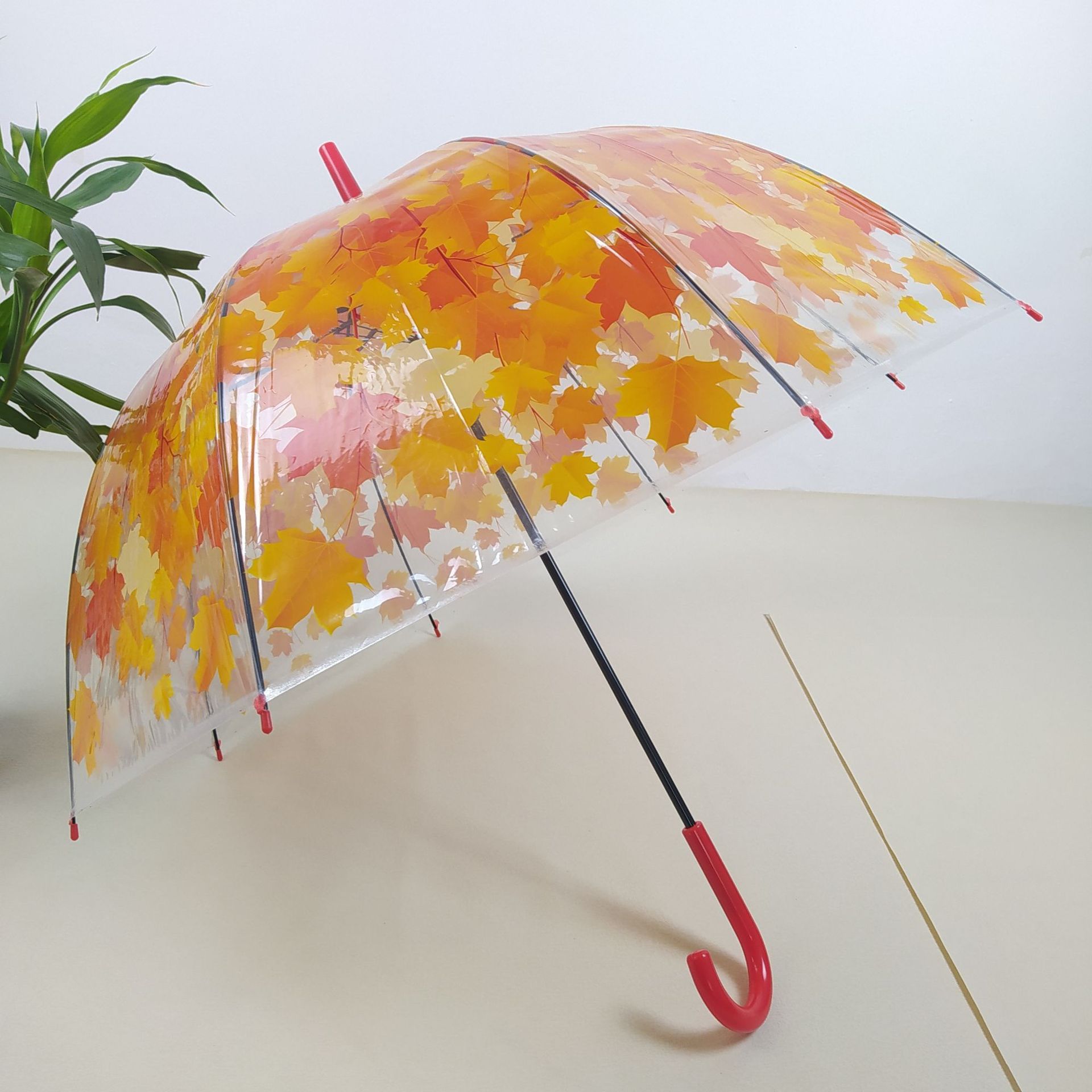 Straight Rod Long Handle Apollo Umbrella Plant Maple Leaf Bird Cage Umbrella Princess Umbrella Mushroom Umbrella Transparent Umbrella Factory Wholesale