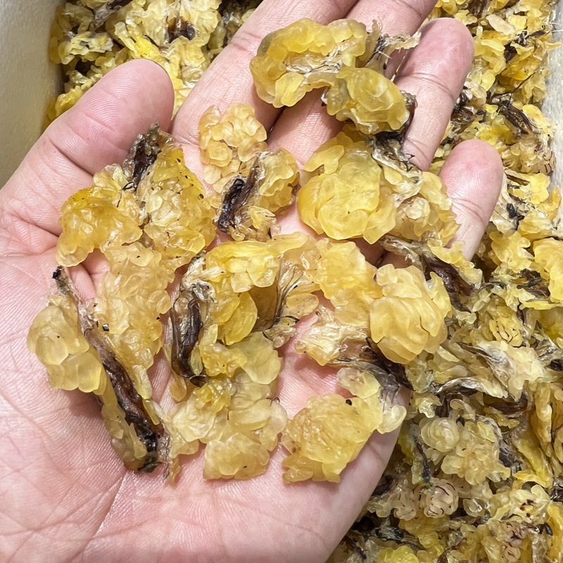 雪蛤批发雪蛤干货林蛙油雪蛤长白山雪蛤干滋补品食材供应批发