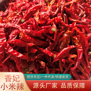 产地香妃小米辣干辣椒炒菜火锅调料小米椒可磨粉切段定制干红辣椒
