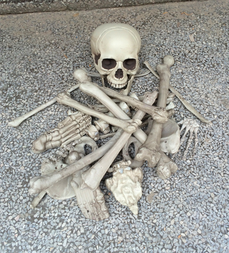 逼真塑料骷髅骨架 恐怖鬼屋装饰密室道具整蛊布景 万圣节骨架道具