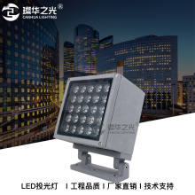 LED投光灯 户外射灯 公园庭院草坪景观插地彩色照树灯 聚光廊柱灯