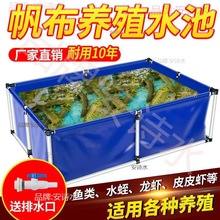 帆布鱼池养殖水箱油布塑料布泳池大型防雨布防水布蓄水池加厚篷布