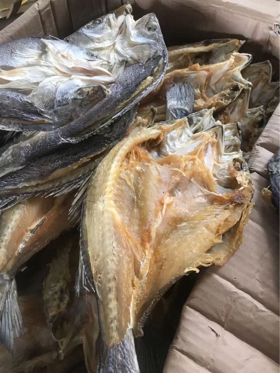 鲈鱼干 跑江湖展会地摊深海鲈鱼干开边鲈鱼干干鱼海产品干货