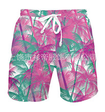 【网眼布】夏季新款3D印花 夏威夷 沙滩短裤游泳裤男士 批发批发
