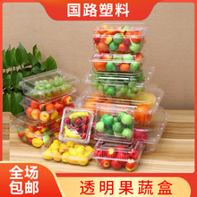 一次性塑料水果包装盒塑料打包盒水果蔬菜分装塑料盒透明打包盒子