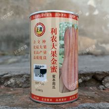 正源大果金蜜蜜本南瓜种子杂交 面粉味甜大果达6kg罐装50克