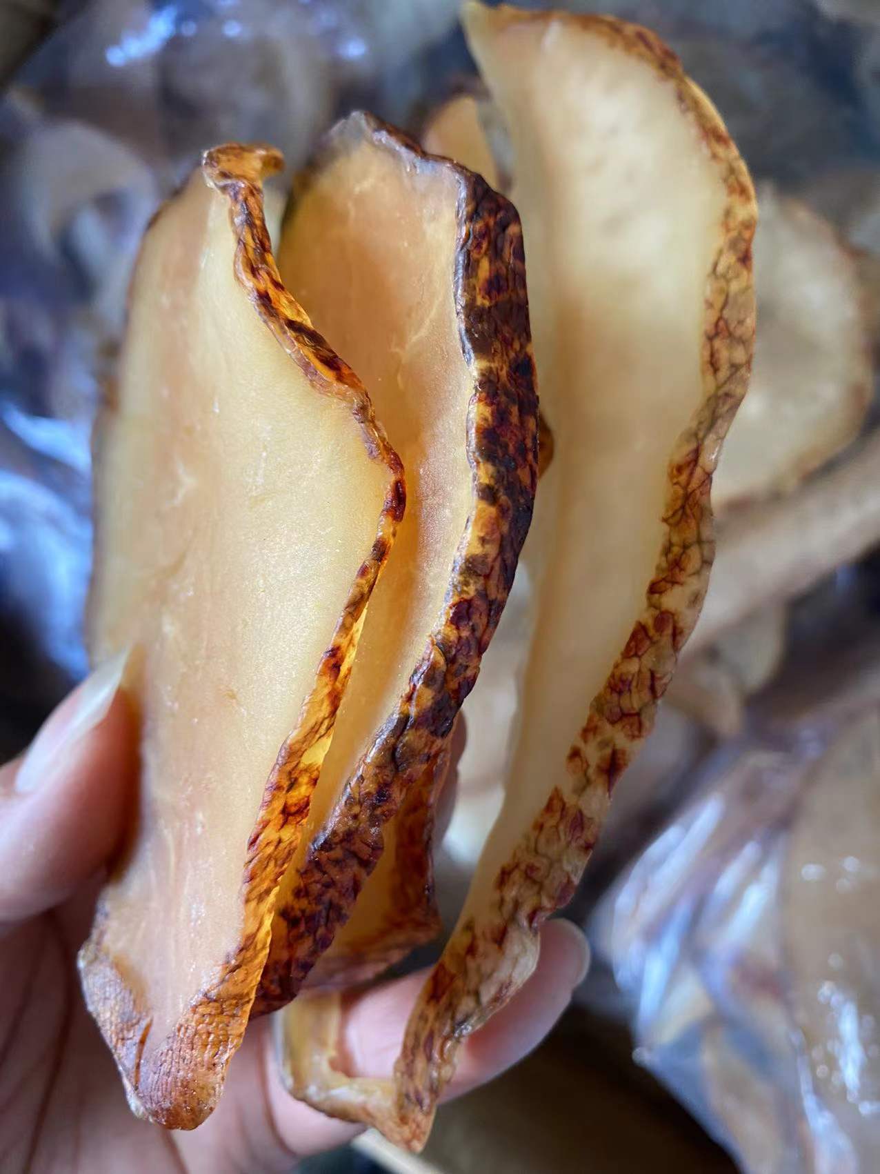 深海响螺片,取自一只3-5斤重的大海螺,每5斤螺肉晒干品一斤,味道鲜美