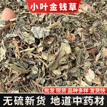 金钱草 透骨消 小叶大叶金钱草 广金钱草 中药材金钱草 量大从优