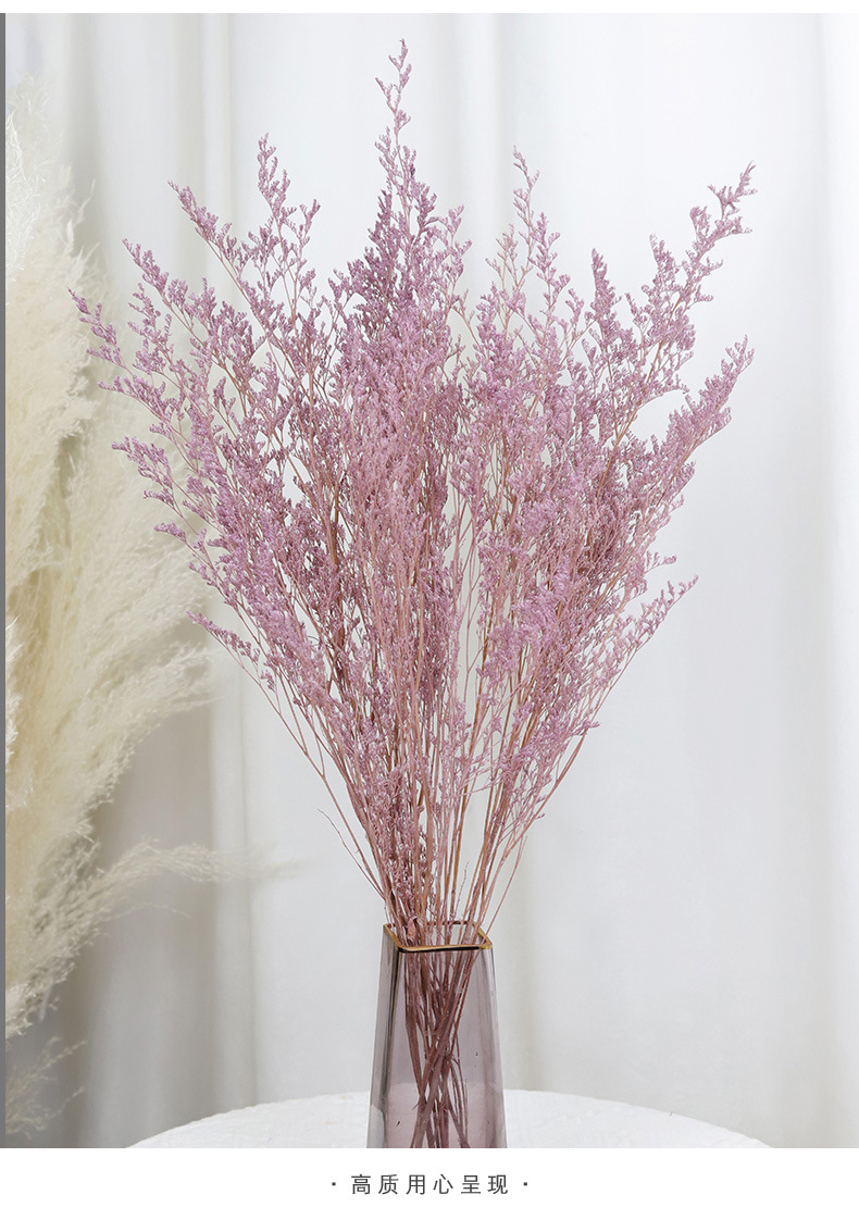 漂色永生花情人草干花花束真花保鲜花香薰浮游瓶diy花束厂家批发