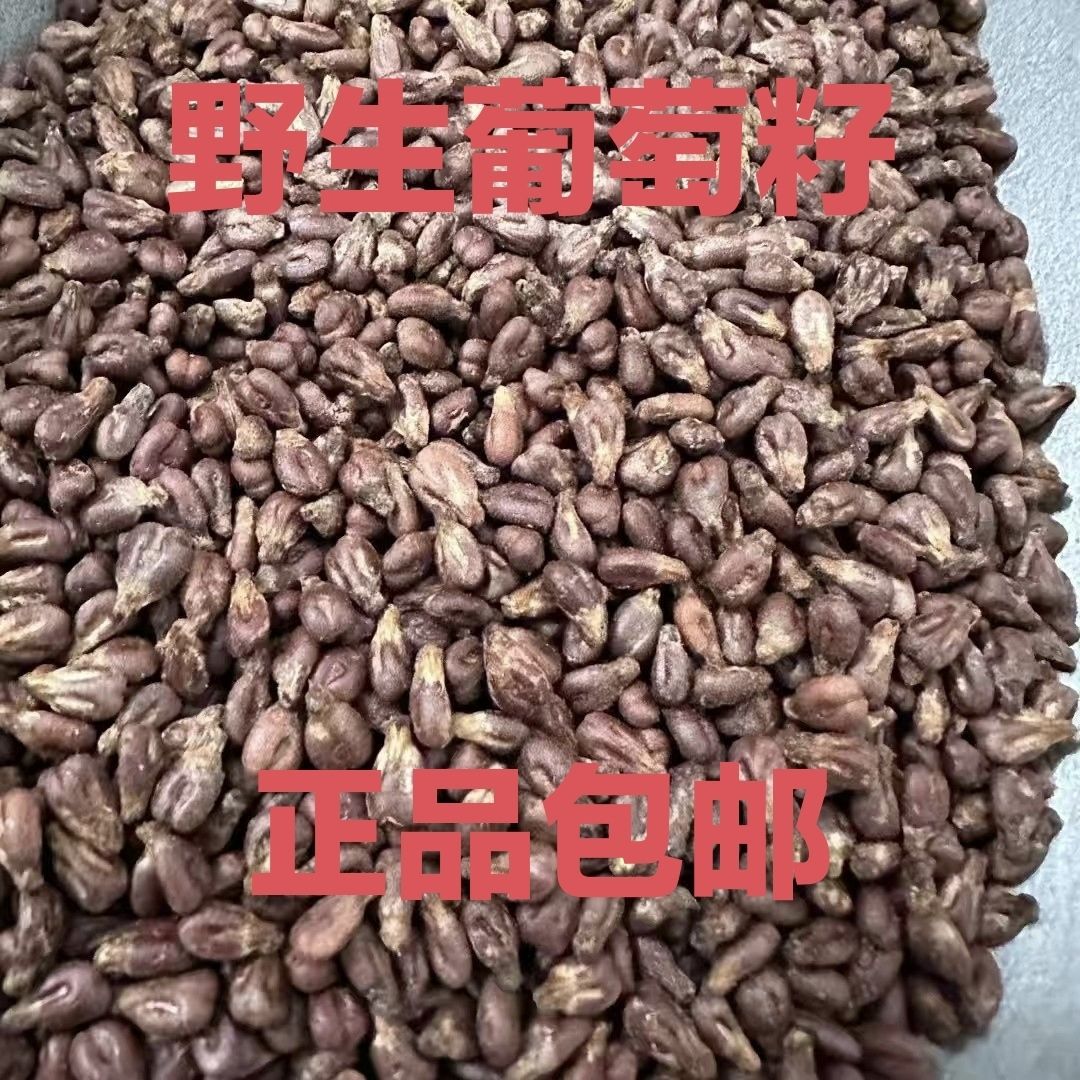 中药材葡萄籽新疆葡萄子干籽野生葡萄籽粉正品包邮-阿里巴巴