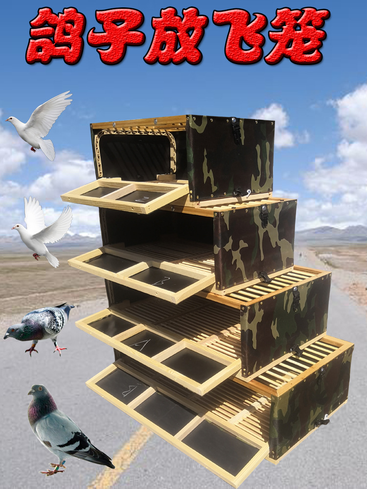 鸽子训放笼放飞笼报道笼信鸽用品折叠集鸽笼赛鸽笼比赛笼木制鸽具