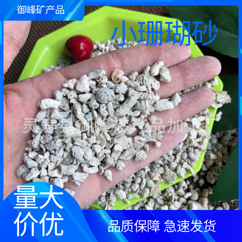 大量现货供应珊瑚骨颗粒水族造景过滤小珊瑚砂优质滤材各种规格