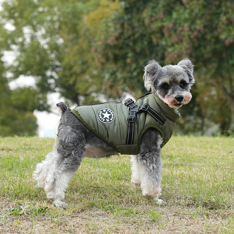 New Cross-Border Pet Clothes Dog Two-Leg Vest Traction Chest Back Waterproof Cotton-Padded Clothes Winter Warm Clothing Supplies