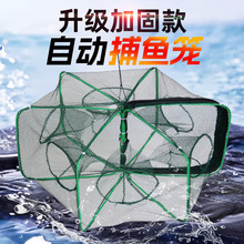 加固款折叠虾笼自动捕鱼笼抓鱼渔网黄鳝笼泥鳅螃蟹捕鱼笼龙虾网