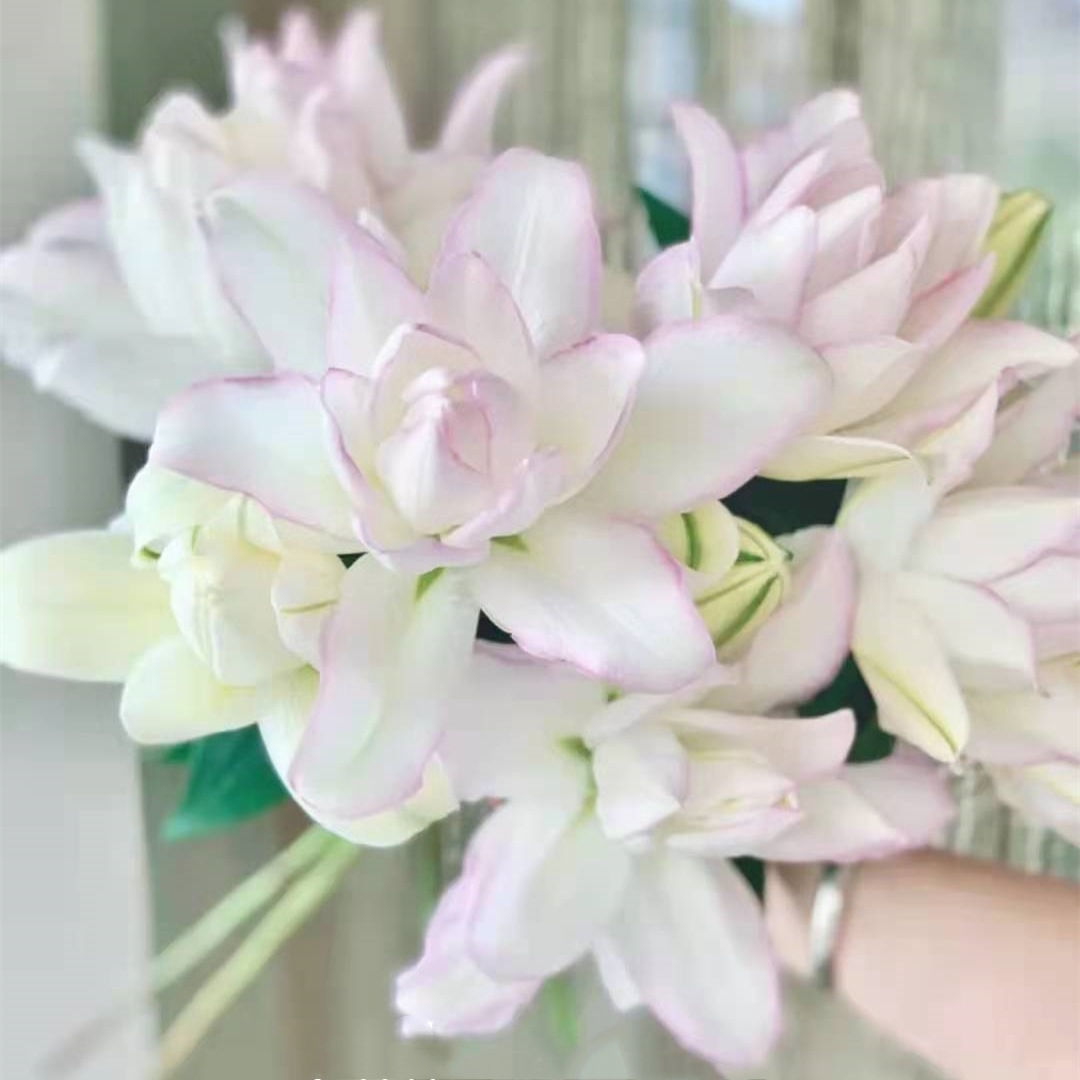 冰美人重瓣百合花香水云南鲜花基地直发昆明斗南直批空运水养花束